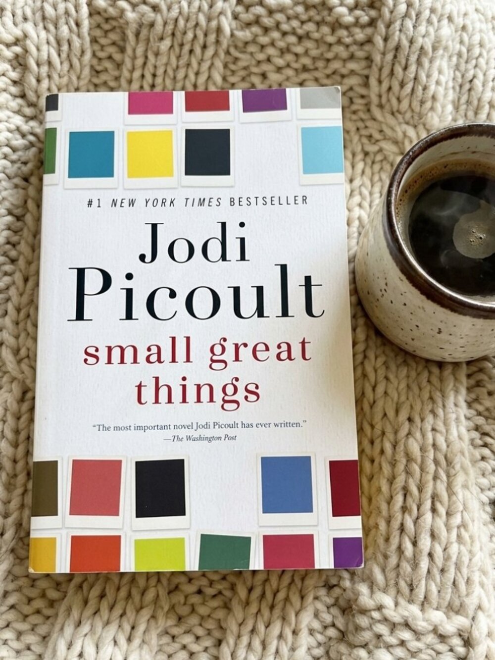 PAPERBACK Small Great Things by Jodi Picoult - EUC